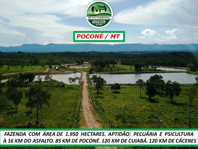 #6828 - Fazenda para Venda em Poconé - MT - 3