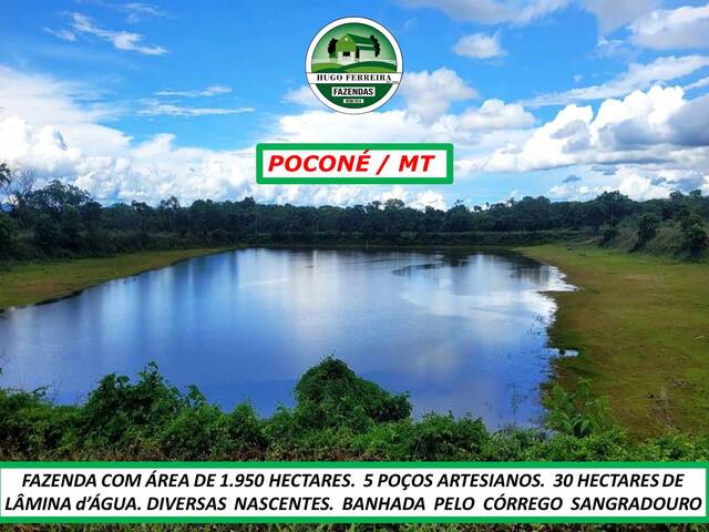 #6828 - Fazenda para Venda em Poconé - MT - 1