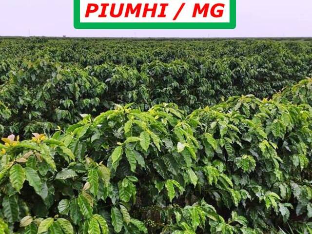 #6844 - Fazenda para Venda em Piumhi - MG - 2