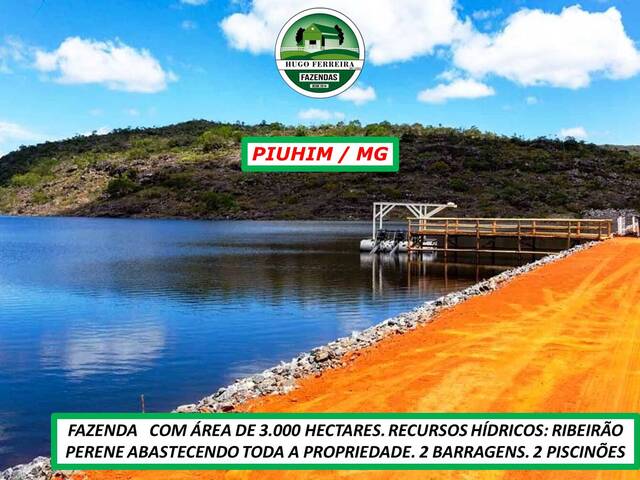 #6844 - Fazenda para Venda em Piumhi - MG - 1