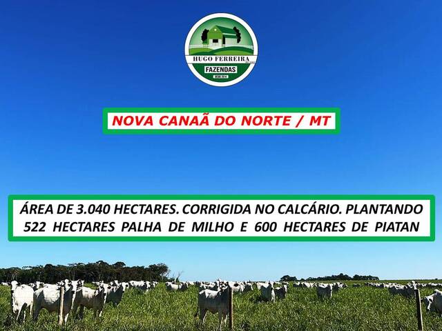 #6888 - Fazenda para Venda em Nova Canaã do Norte - MT - 3