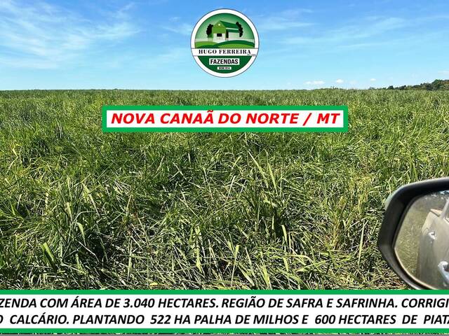 #6888 - Fazenda para Venda em Nova Canaã do Norte - MT - 1