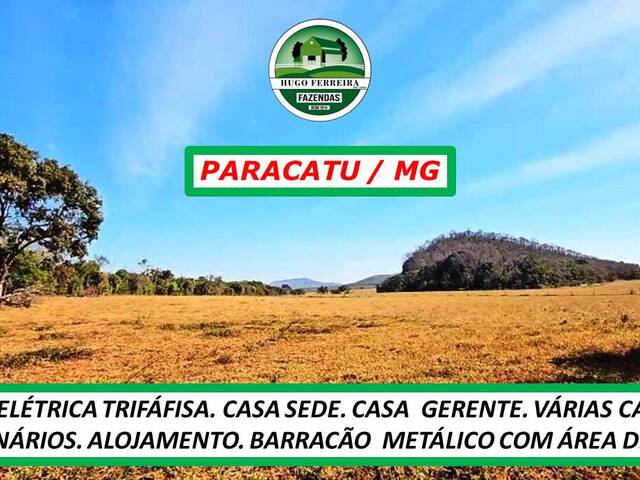  para  em  - 5