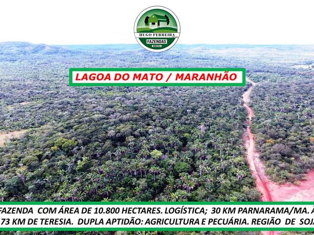 #6900 - Fazenda para Venda em Lagoa do Mato - MA - 1
