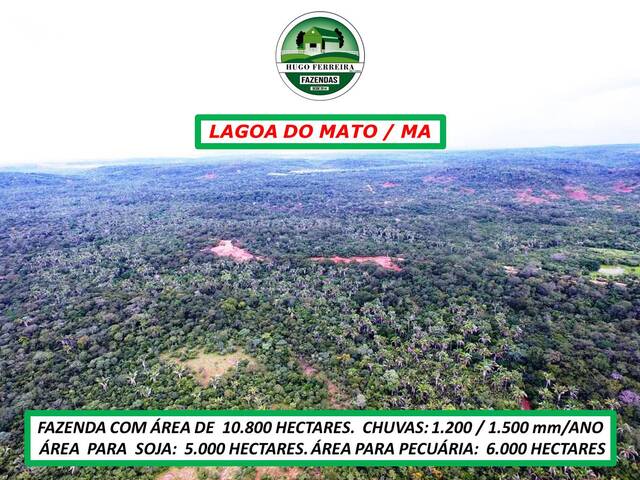 #6900 - Fazenda para Venda em Lagoa do Mato - MA - 2