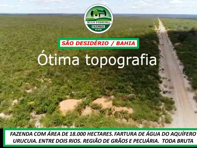#6915 - Fazenda para Venda em São Desidério - BA - 3