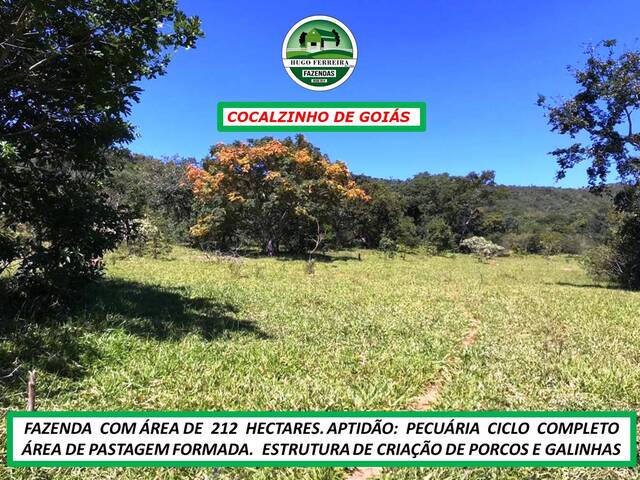 #6944 - Fazenda para Venda em Cocalzinho de Goiás - GO - 2