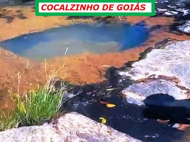 #6944 - Fazenda para Venda em Cocalzinho de Goiás - GO - 3