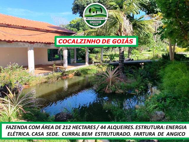 #6944 - Fazenda para Venda em Cocalzinho de Goiás - GO - 1