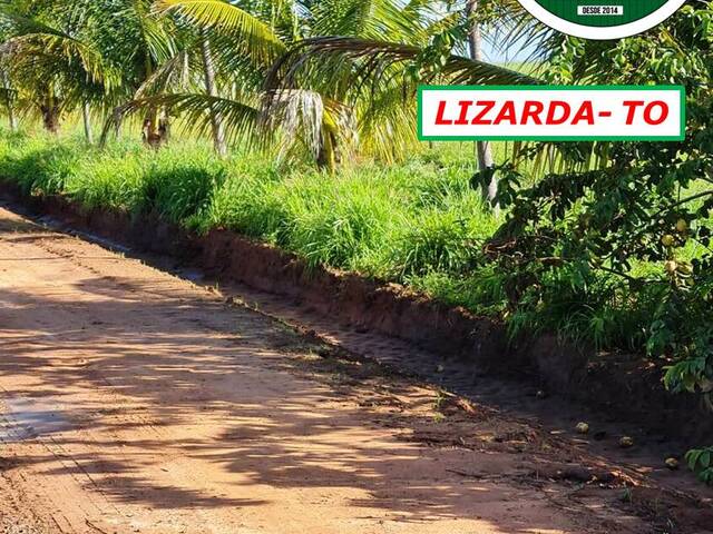 #6969 - Fazenda para Venda em Lizarda - TO - 3
