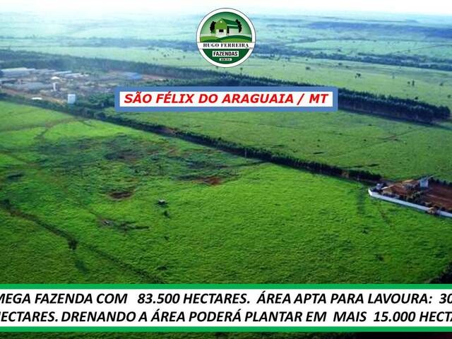 #6977 - Fazenda para Venda em São Félix do Araguaia - MT - 2