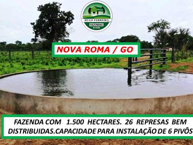 #6999 - Fazenda para Venda em Nova Roma - GO - 1