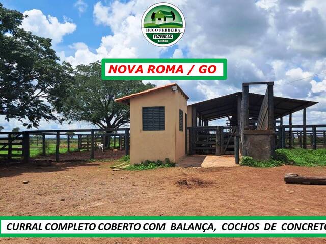 #6999 - Fazenda para Venda em Nova Roma - GO - 2