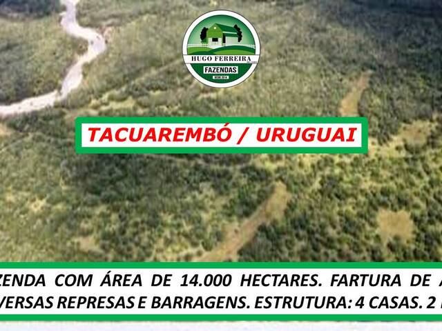 #7000 - Fazenda para Venda em Ansina - UY-TA - 2