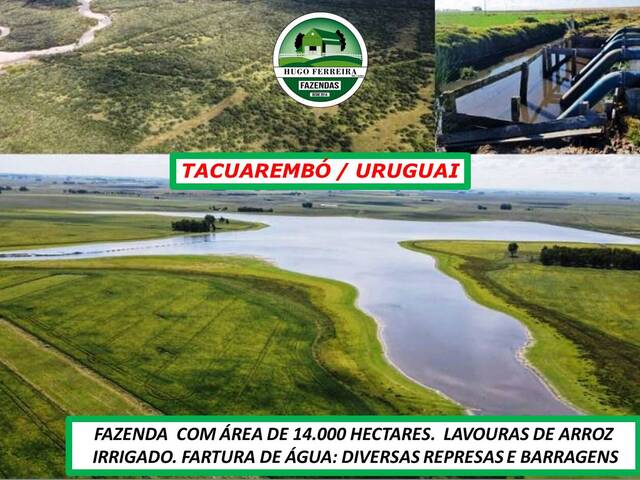#7000 - Fazenda para Venda em Ansina - UY-TA - 3