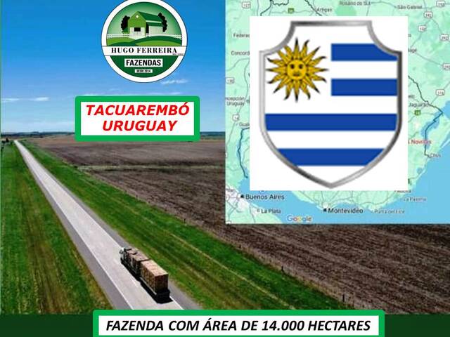 #7000 - Fazenda para Venda em Ansina - UY-TA - 1