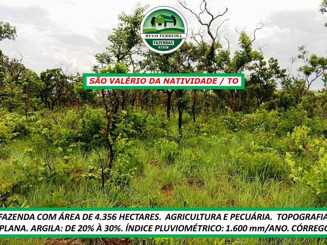 #7011 - Fazenda para Venda em São Valério da Natividade - TO - 2
