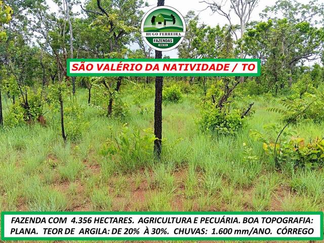 #7011 - Fazenda para Venda em São Valério da Natividade - TO - 3