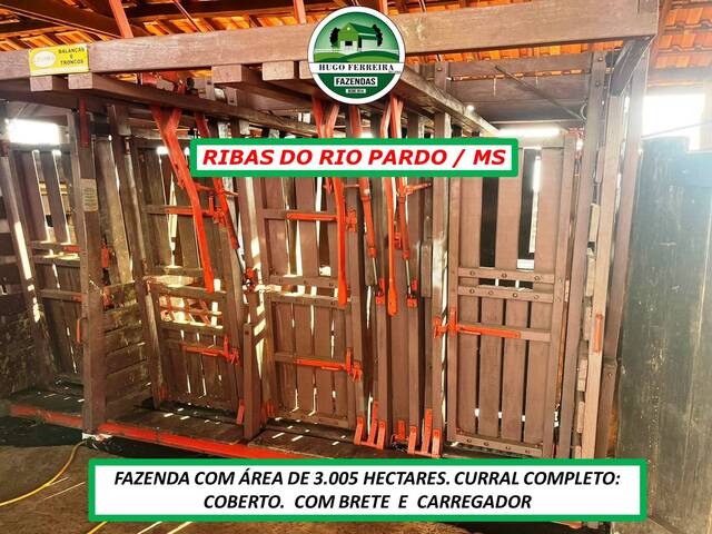 #7022 - Fazenda para Venda em Ribas do Rio Pardo - MS - 3