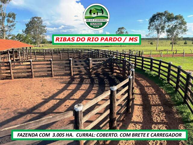 #7022 - Fazenda para Venda em Ribas do Rio Pardo - MS - 2