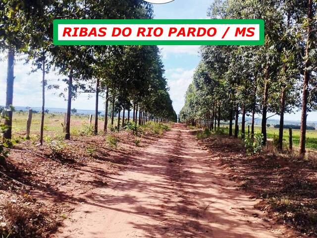 #7022 - Fazenda para Venda em Ribas do Rio Pardo - MS - 1