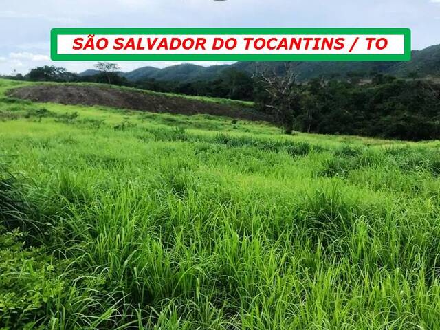 #7044 - Fazenda para Venda em São Salvador do Tocantins - TO - 2