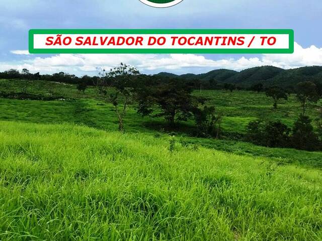 #7044 - Fazenda para Venda em São Salvador do Tocantins - TO - 1