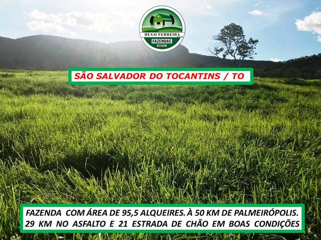 #7044 - Fazenda para Venda em São Salvador do Tocantins - TO - 3
