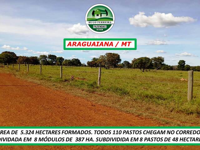 #7055 - Fazenda para Venda em Araguaiana - MT - 3