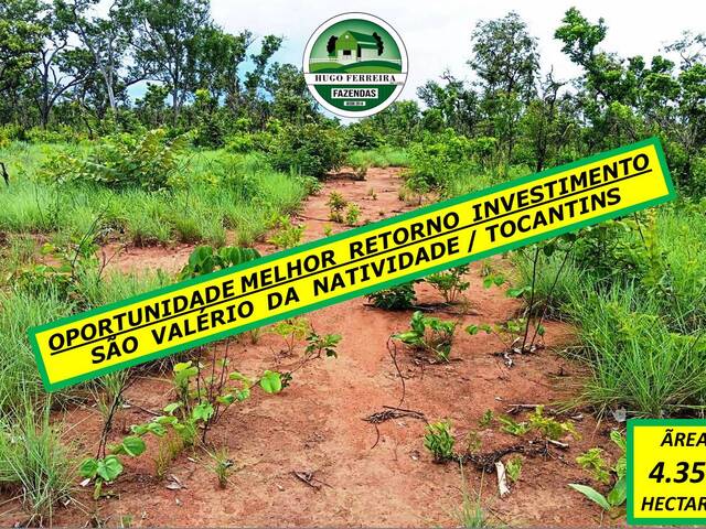 #7066 - Fazenda para Venda em São Valério da Natividade - TO - 1