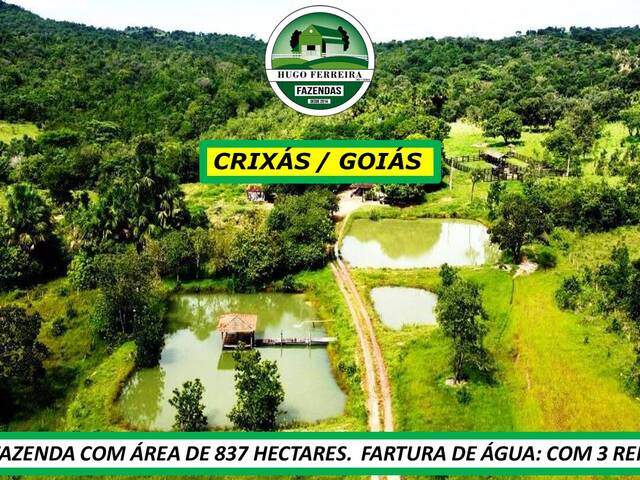 #7088 - Fazenda para Venda em Crixás - GO - 1