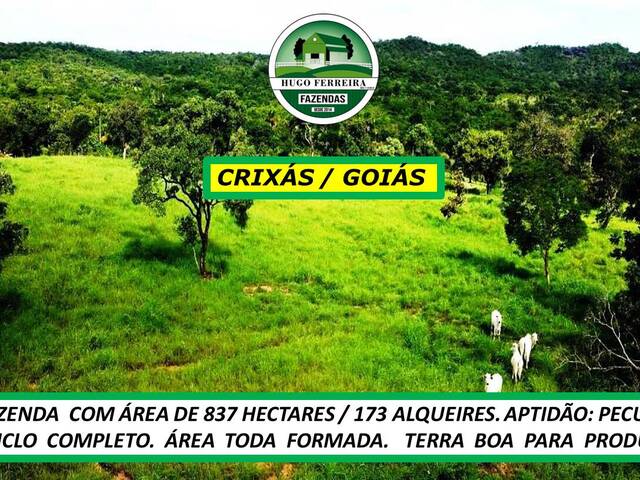 #7088 - Fazenda para Venda em Crixás - GO - 2