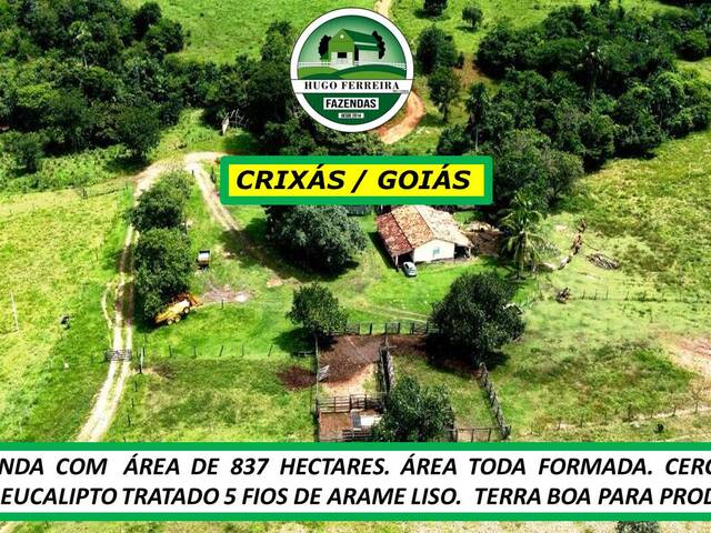 #7088 - Fazenda para Venda em Crixás - GO - 3