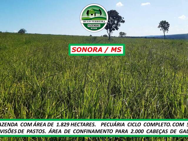 #7090 - Fazenda para Venda em Sonora - MS - 2