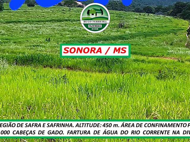 #7090 - Fazenda para Venda em Sonora - MS - 3