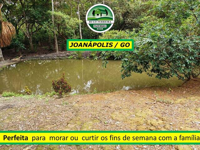 #7100 - Chácara para Venda em Anápolis - GO - 3