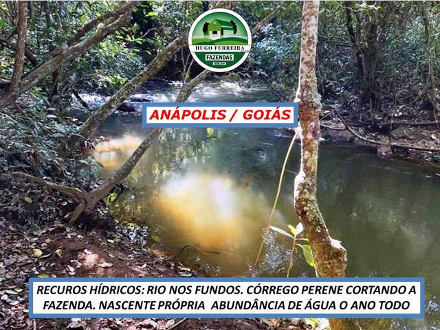 #7111 - Fazenda para Venda em Anápolis - GO - 2