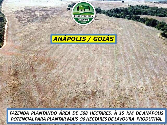 #7111 - Fazenda para Venda em Anápolis - GO - 3