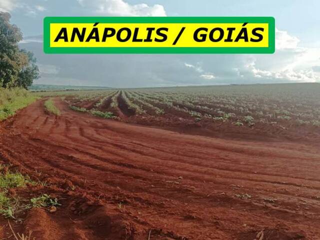 #7122 - Chácara para Venda em Anápolis - GO - 2