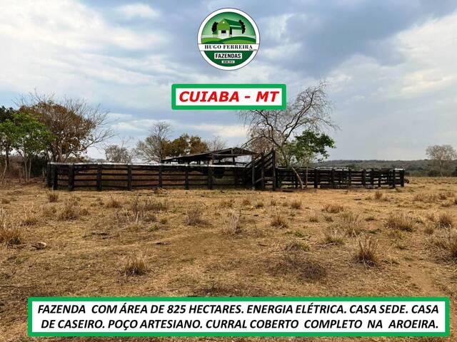 #7144 - Fazenda para Venda em Cuiabá - MT - 3