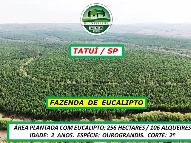 #7150 - Fazenda para Venda em Tatuí - SP - 2