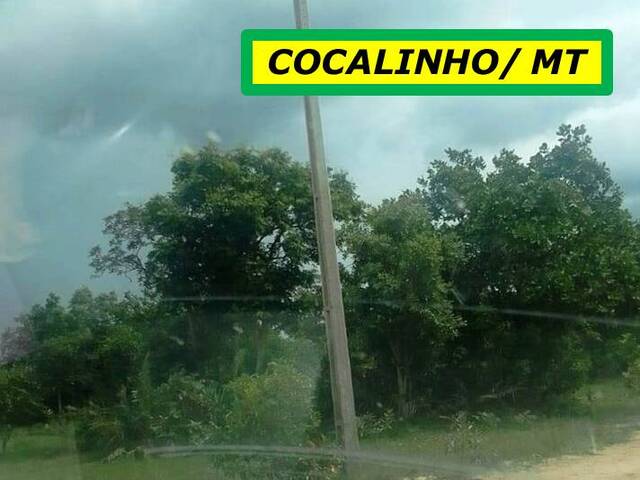 #7171 - Fazenda para Venda em Cocalinho - MT - 2