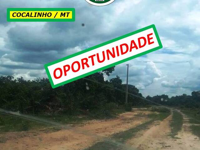 #7171 - Fazenda para Venda em Cocalinho - MT - 1
