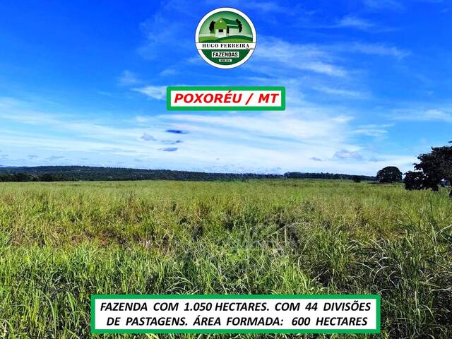 #7180 - Fazenda para Venda em Poxoréo - MT - 2