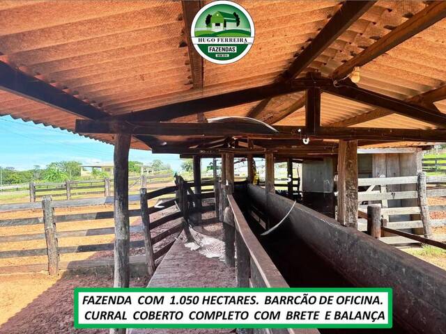 #7180 - Fazenda para Venda em Poxoréo - MT - 1