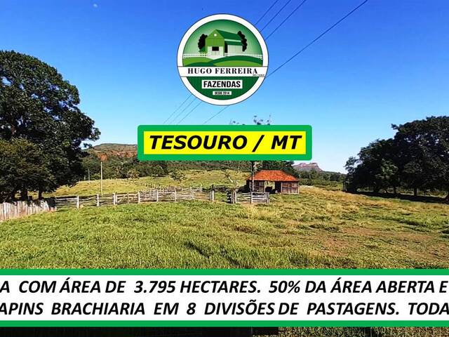 #7199 - Fazenda para Venda em Tesouro - MT - 2