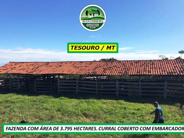 #7199 - Fazenda para Venda em Tesouro - MT - 3