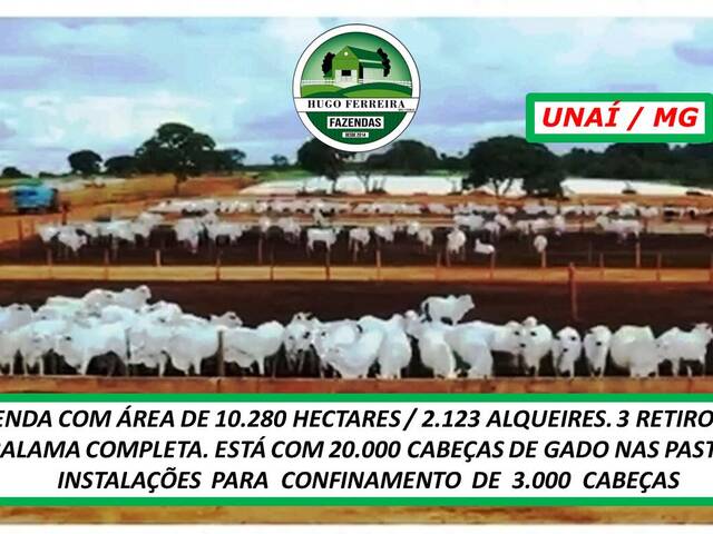 #7200 - Fazenda para Venda em Unaí - MG - 2