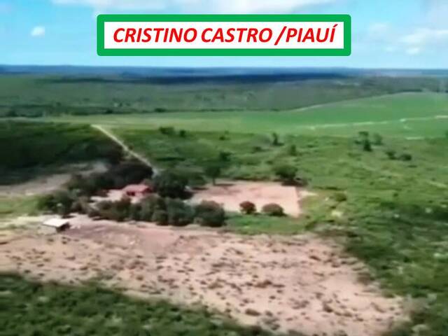 #7222 - Fazenda para Venda em Cristino Castro - PI - 3