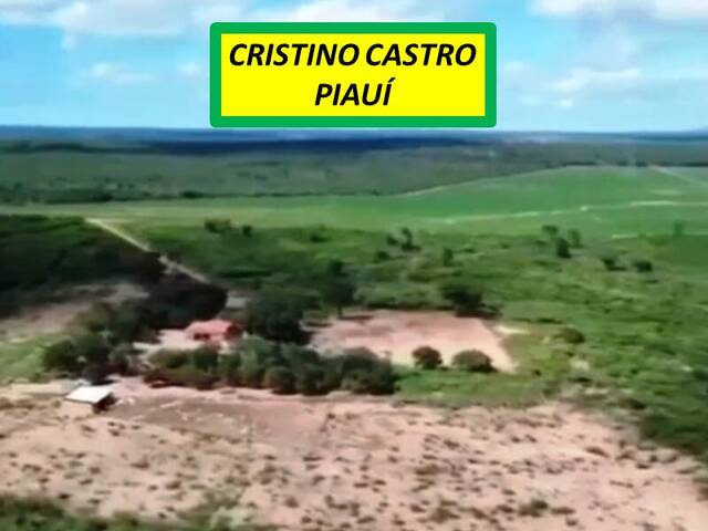 #7222 - Fazenda para Venda em Cristino Castro - PI - 1
